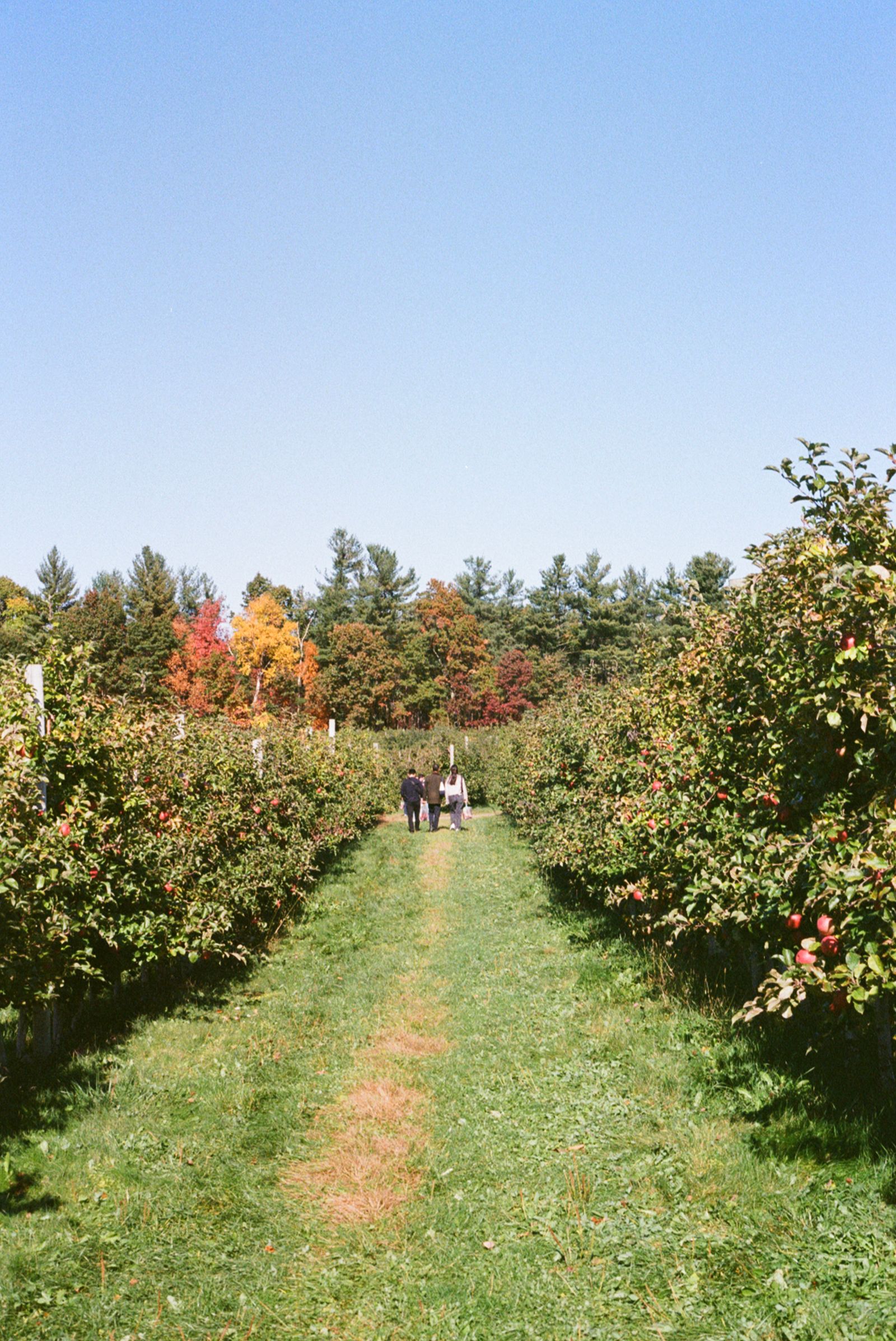 Hager’s Farm Market, Shelburne Falls, Massachusetts