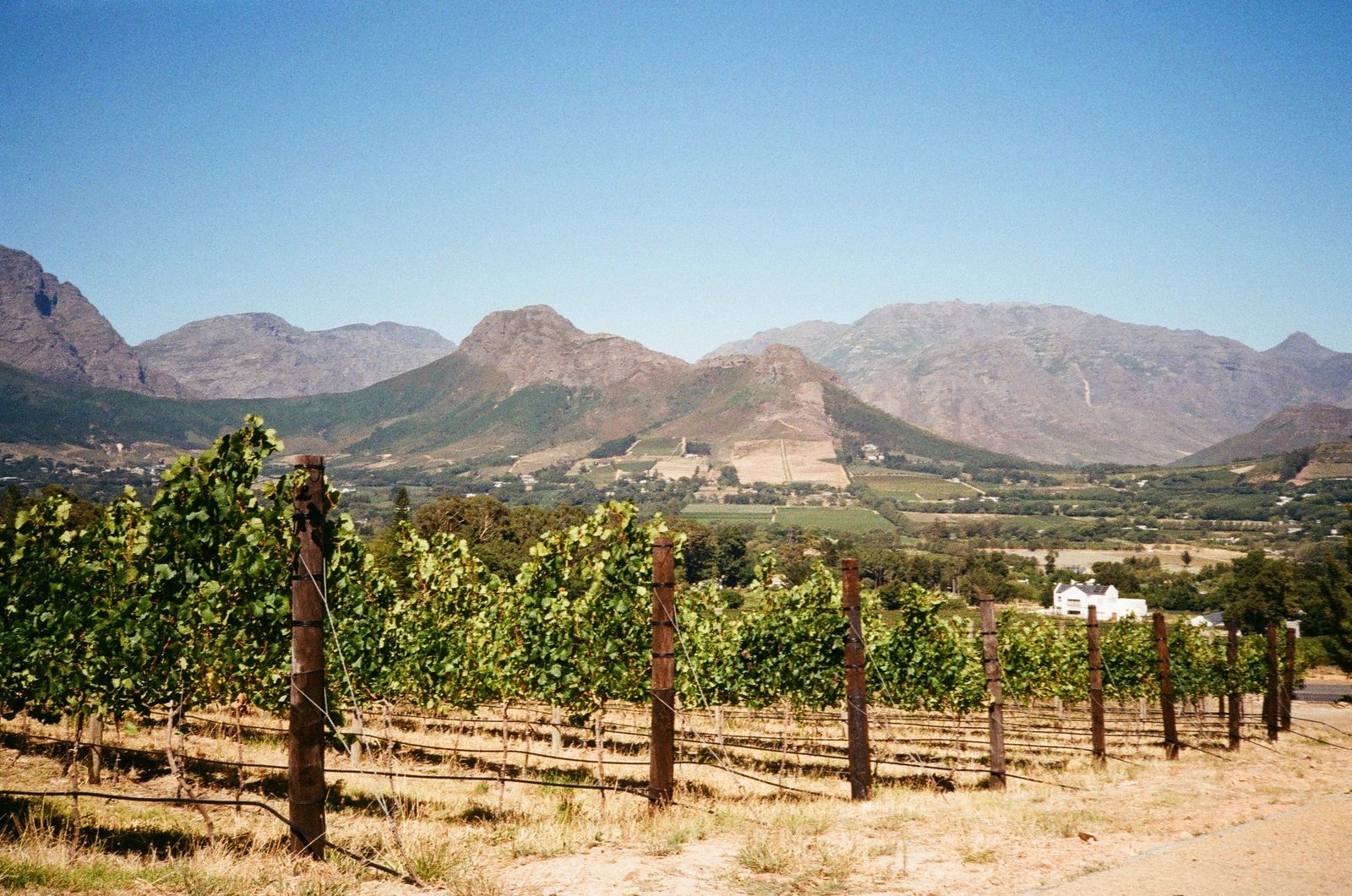 The Franschhoek Wine Tram